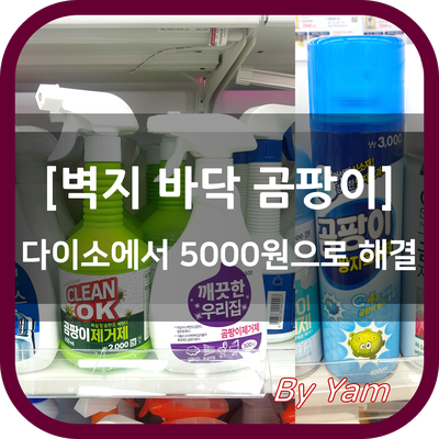 벽지 바닥 곰팡이제거 다이소에서 5000원으로 해결했습니다 네이버 블로그