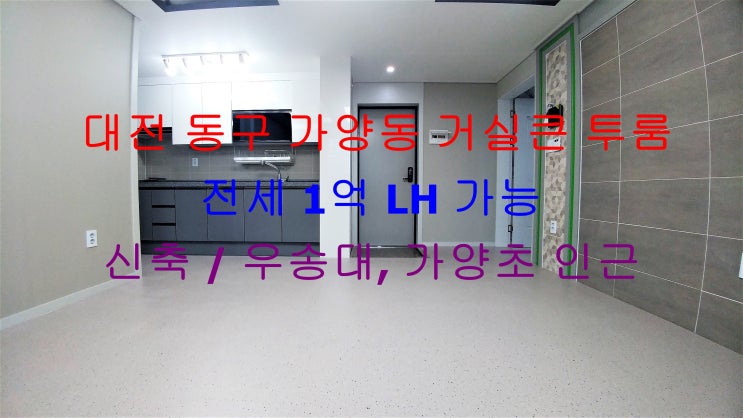  (LH 가능) 대전 동구 가양동 우송대, 가양초 인근에 있는 신축 거실큰 투룸 전세 매물입니다 ^^