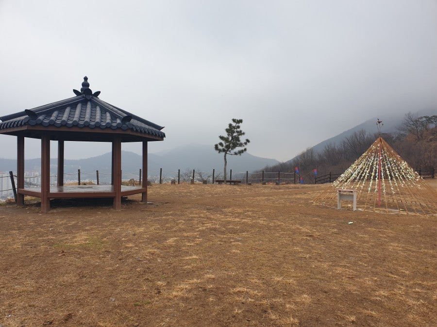 또오리 사진 6