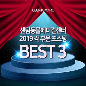  센텀동물메디컬센터 2019 각 부문 포스팅 BEST 3 (부산 수영구 남구 연제구 연중무휴 동물병원)