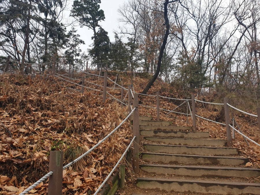 또오리 사진 4