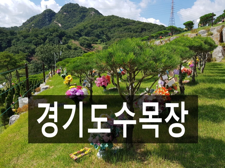  경기도 수목장중에 안전한 수목장 있나요?