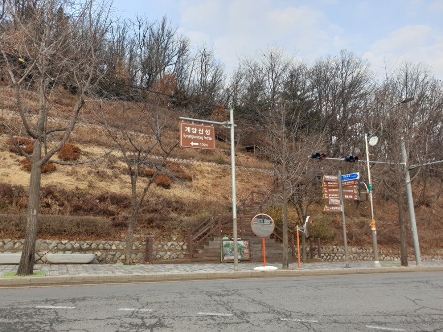 또오리 사진 2