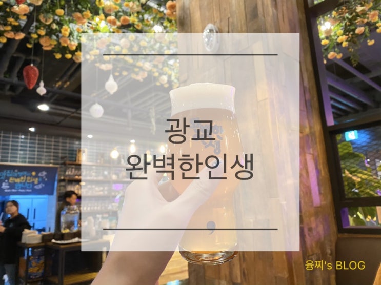  광교 술집 ) 가볍게 맥주 한 잔 하기 좋은 광교 수제맥주 펍, 광교 완벽한인생