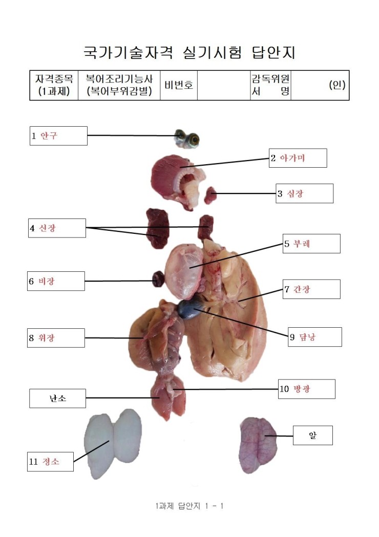  복어조리기능사 (복어부위감별)