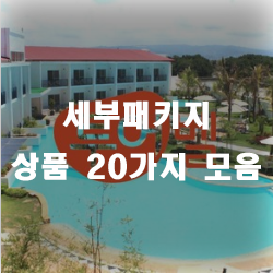  세부여행 패키지로 알뜰하게 가쟈!