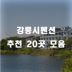  강릉에 있는 펜션으로 모두 놀러오세요