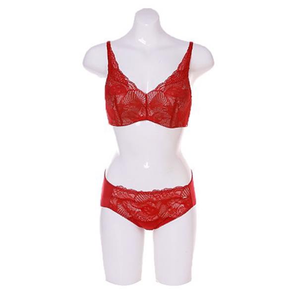  [AK플라자][비비안]수입레이스 몰드브라헴팬티 BR315A BP315AP (100,880원)