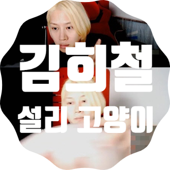 김희철이 설리 고양이 기르는거 비밀로 하려고 했던 이유 김희철이 설리 고양이 기르는거 비밀로 하려고 했던 이유