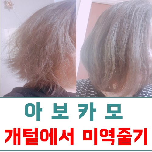  엘리메르 아보카모헤어팩 실크브러쉬 솔직후기