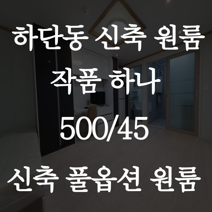  하단 원룸 첫 입주의 행운을 잡으세요
