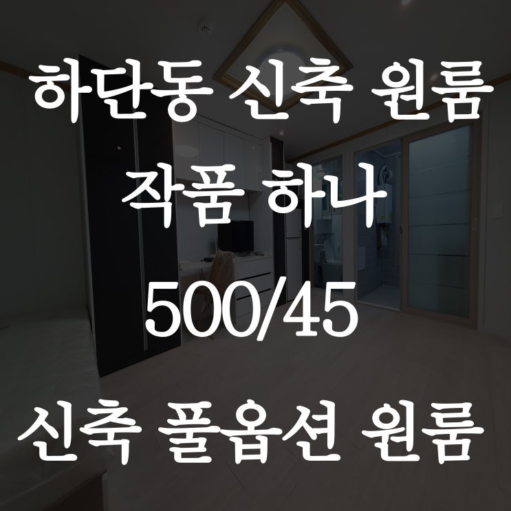 하단 원룸 첫 입주의 행운을 잡으세요