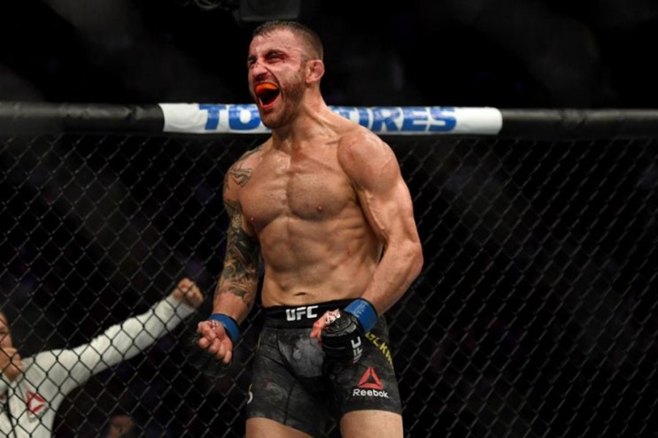 2019 Hund's MMA 연말 결산 2019 Hund's MMA 연말 결산