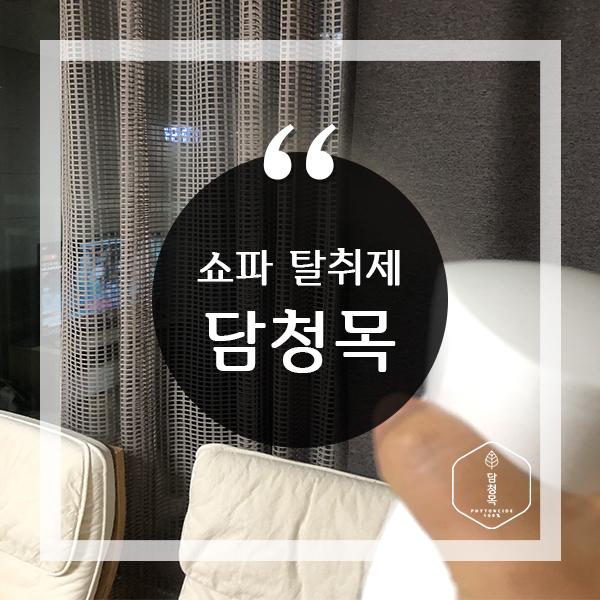  쇼파 냄새 어쩔, 쇼파탈취제 담청목으로 해결!