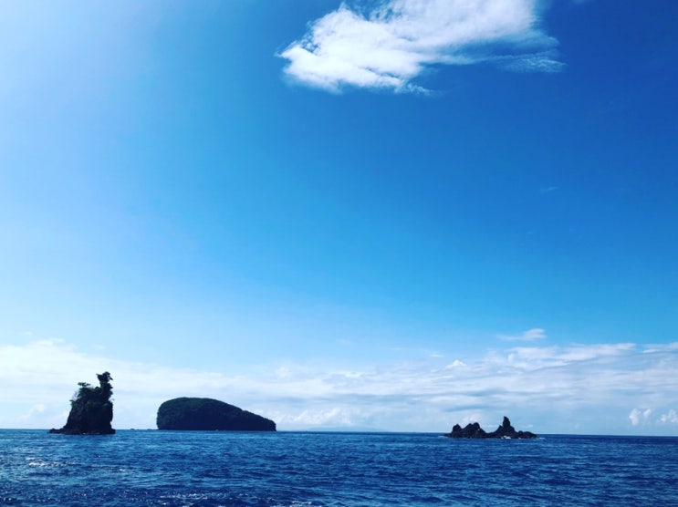  [발리] 코랄가든이 환상적인 길리 떼뻬콩(Tepekong/Gili) 스쿠버 다이빙