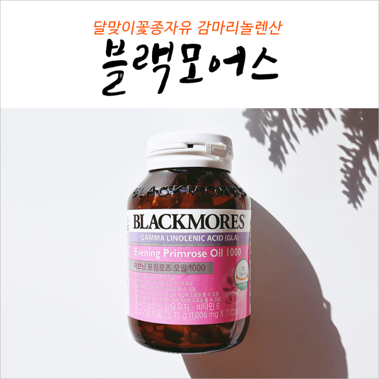  블랙모어스 이브닝 프림로즈 오일 정착중
