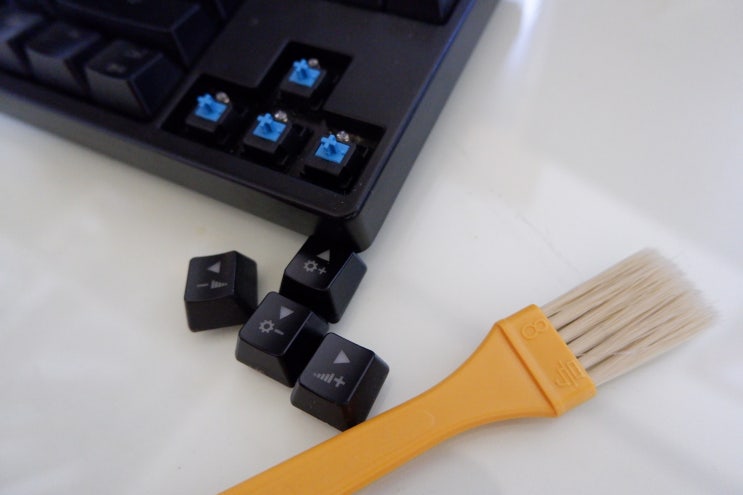  덕키 기계식 키보드 Ducky Mechanical Keyboards 게이밍 키보드 청소!