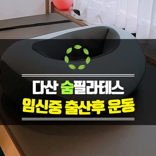  임신중 운동 추천 필라테스 운동효과 다산신도시
