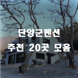  단양군펜션으로 힐링하러오세요