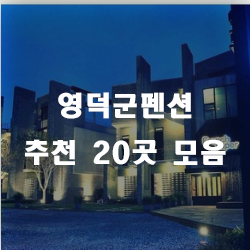  영덕대게가 보고싶고, 먹고싶은 분들에게 추천하는 영덕군펜션!