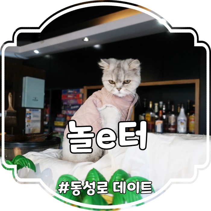  대구 동성로 아이와 함께 데이트 하기좋은 놀e터 보드게임카페