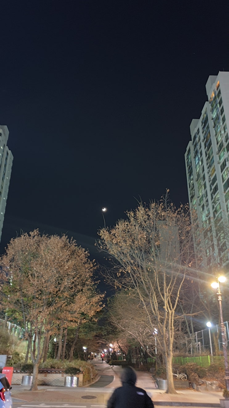  2019.12.31 마지막의 초승달.