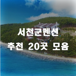  서천군에서만 볼 수 있는 서천군펜션