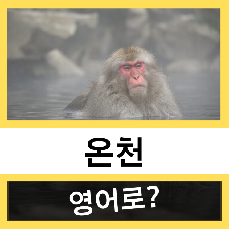  온천 영어로? #왕초보 영어훈련소