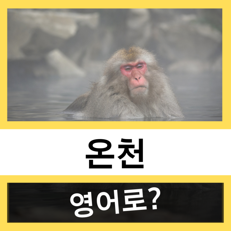 온천 영어로? #왕초보 영어훈련소