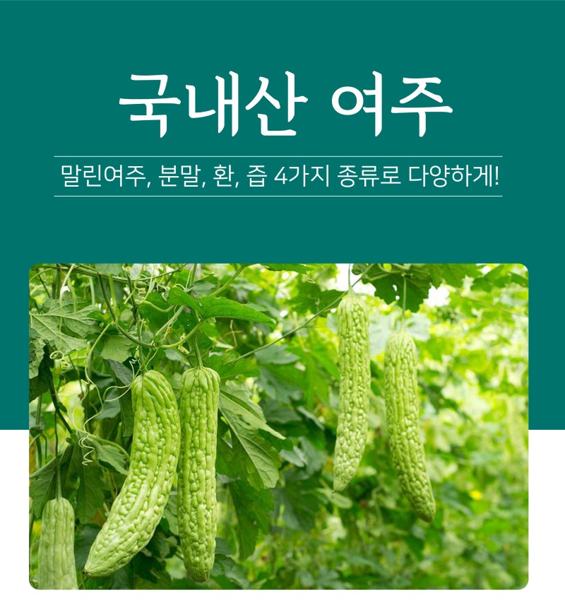 여주 효능 말린 건재 즙 분말 환 차 먹는법 파는곳 - 플로라 여주 효능 말린 건재 즙 분말 환 차 먹는법 파는곳 - 플로라