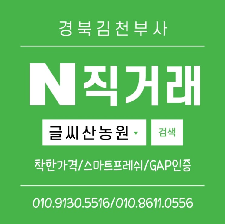  경북 김천사과 부사 산지직송 직거래 추천