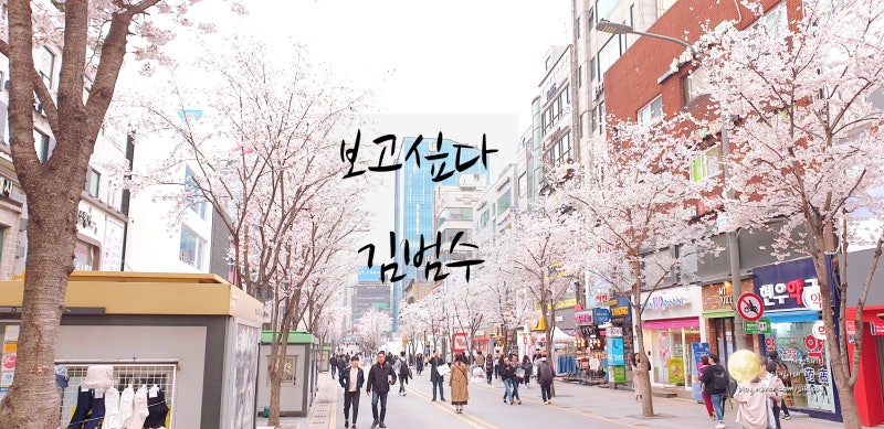 보고싶다 - 김범수. 늦은밤 음악듣기&가사적기.