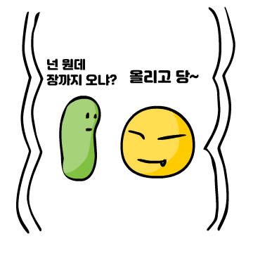  올리고당 핵심 정리