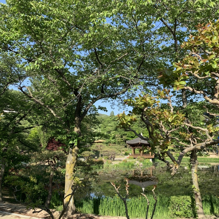  [경주 보문] 호수