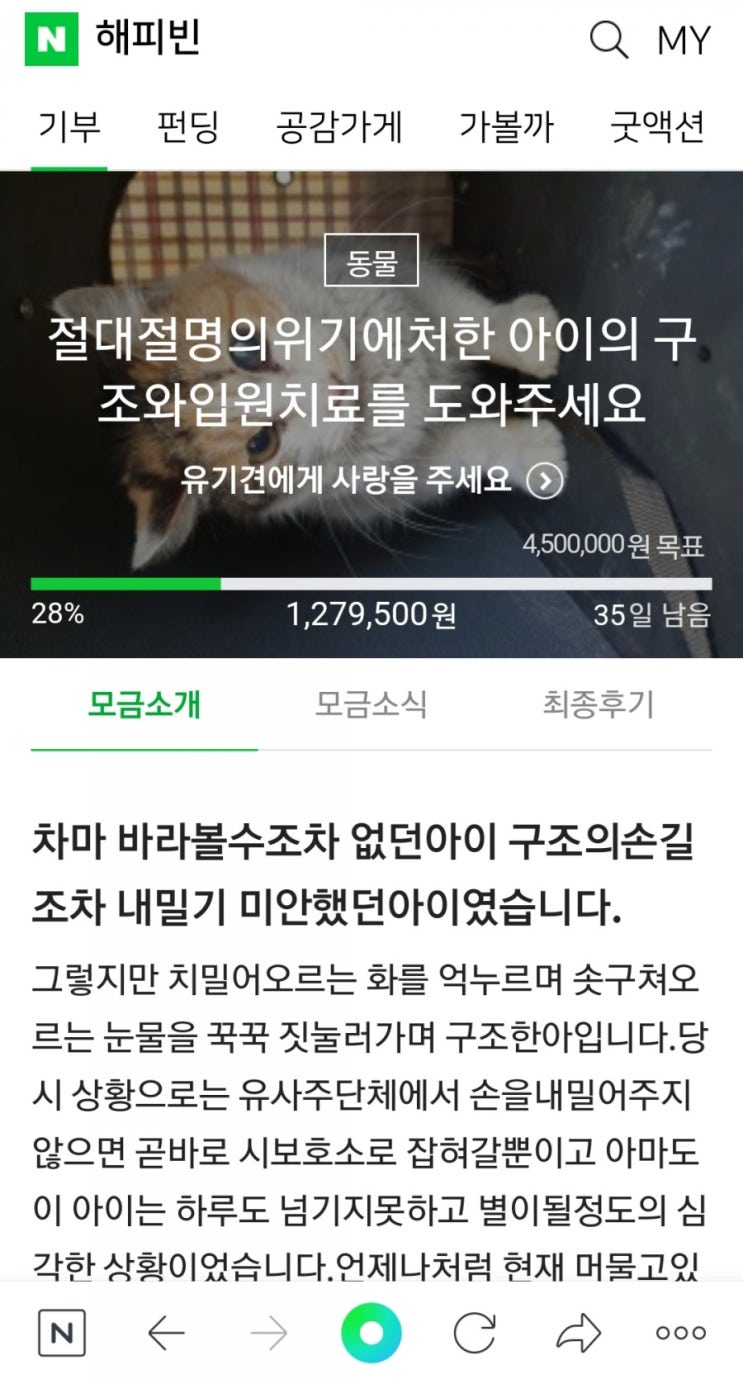  ️해피빈 기부 참여하기️