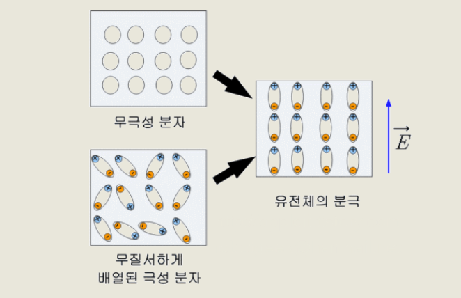 전기장에서 유전율(Permitivity)