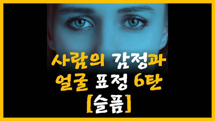사람의 감정과 얼굴 표정 6탄 [feat. 슬픔]