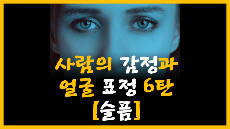  사람의 감정과 얼굴 표정 6탄 [feat. 슬픔]