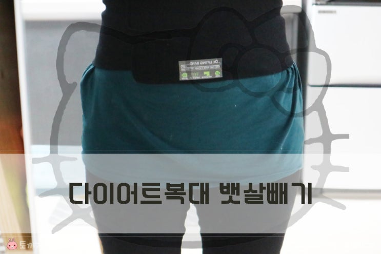 다이어트복대 내장지방 뱃살빼기 도전 다이어트복대 내장지방 뱃살빼기 도전
