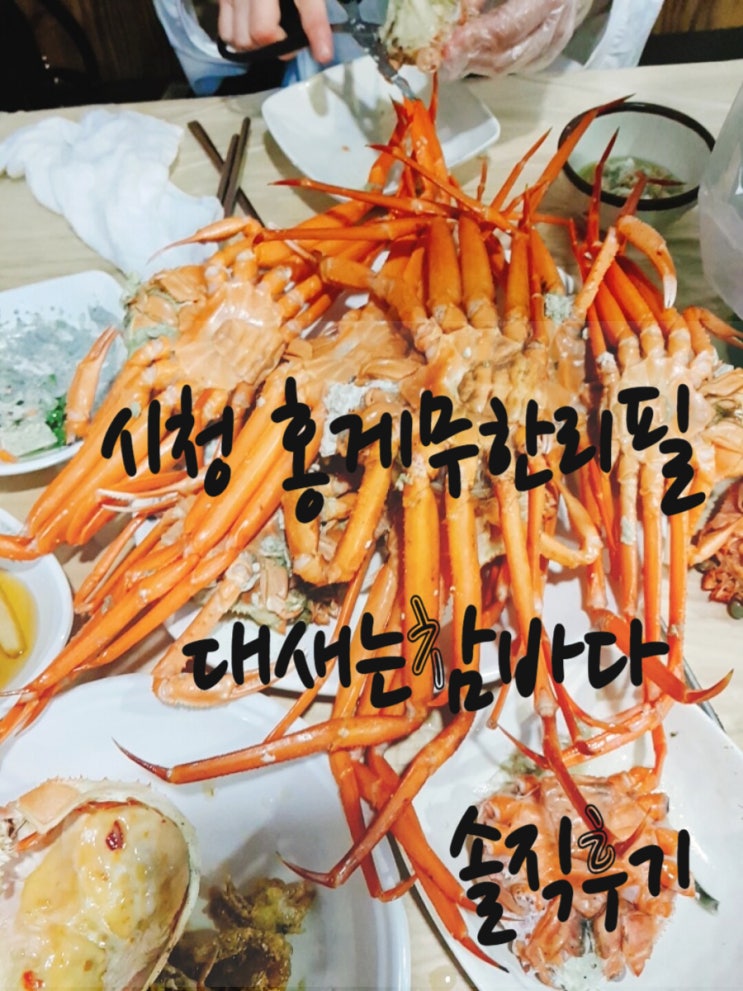 부산 홍게 무한리필 시청 대새는 참바다 솔직 후 기 부산 홍게 무한리필 시청 대새는 참바다 솔직 후 기