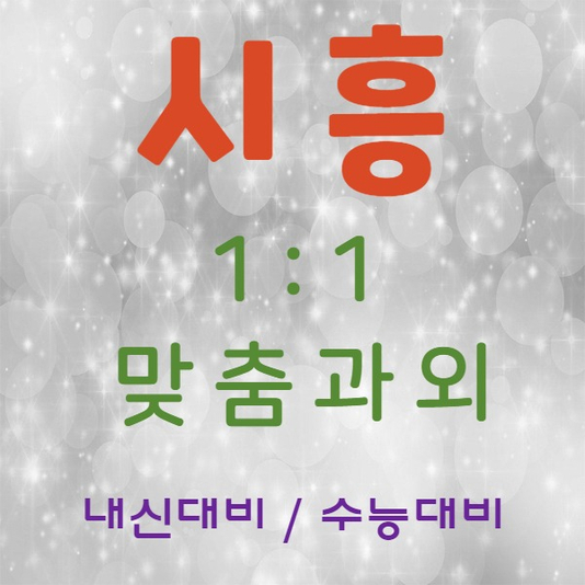  시흥 영어과외 배곧 수학과외 국어 수업으로 내신과 수능대비 하고 있어요