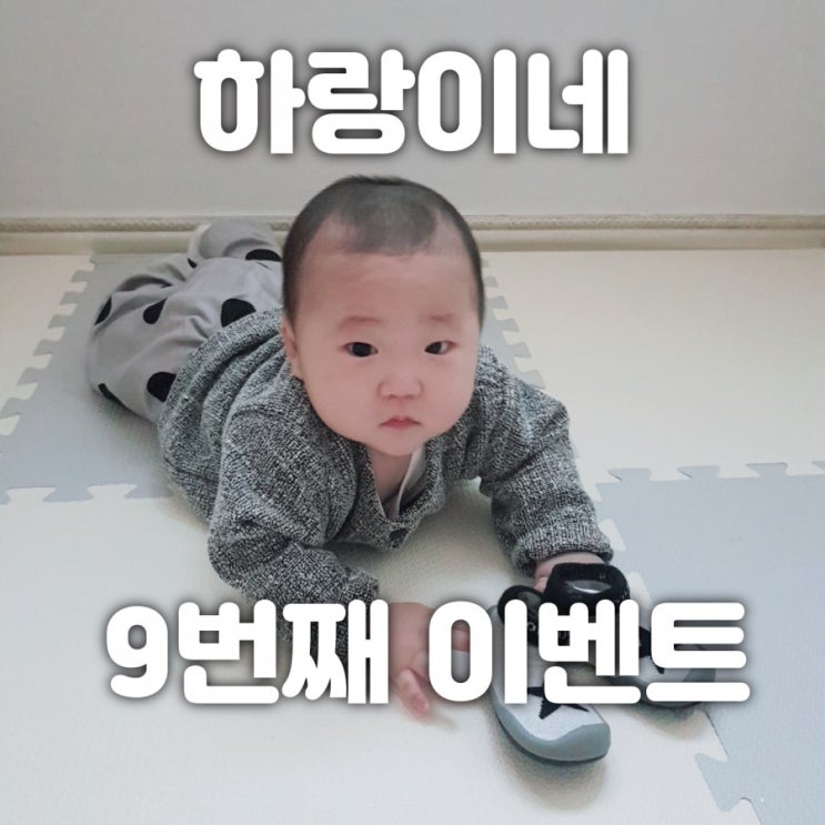  [마감]9번째 하랑이벤트, 홍보왕을 찾아라!(~4.26/발표 4.30)