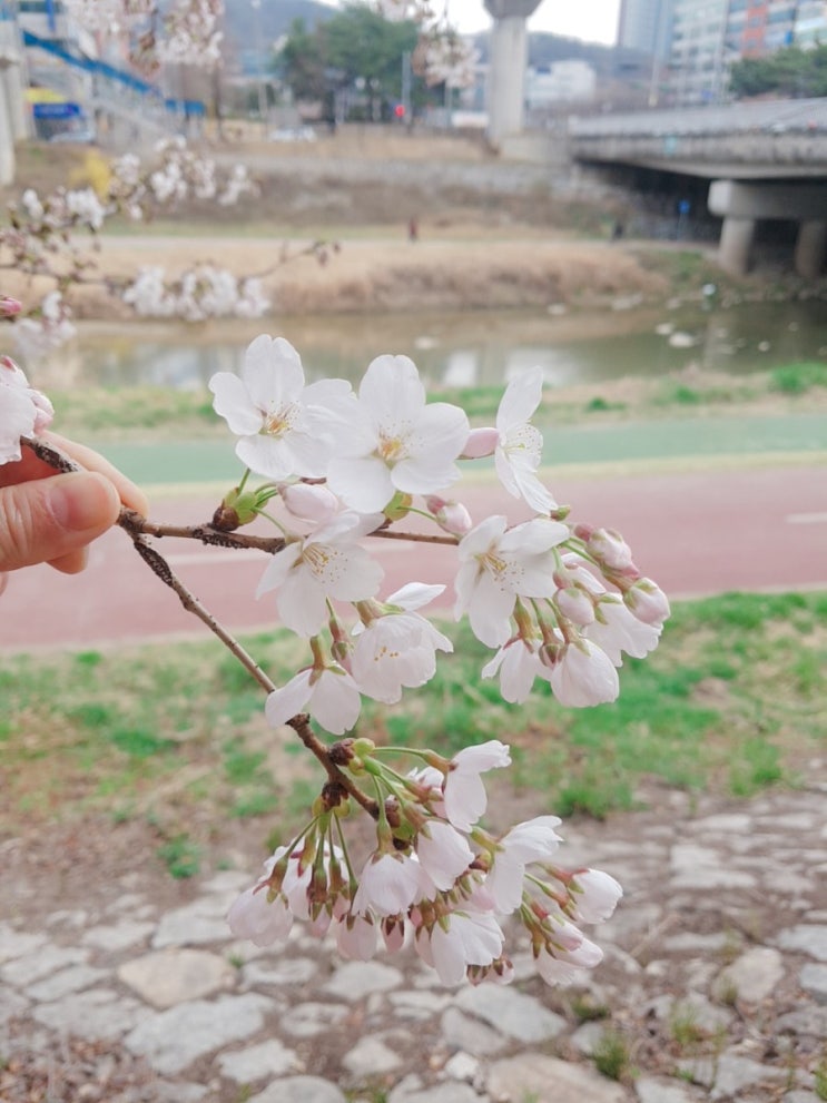 무급휴가 또 시작ㅠㅠ