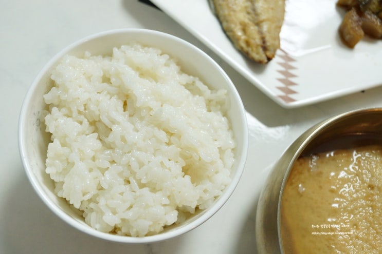  맛있는쌀 탱글하고 찰진 쌀추천! 하루세끼쌀