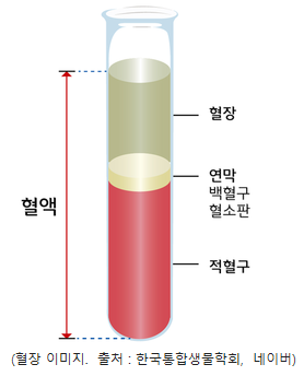  혈장치료 관련주 Best5 투자방법