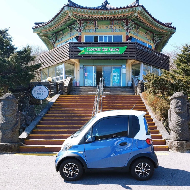  [CEVO ROAD] 캠시스 CEVO 제주지점 영업사원이 소개하는 제주도