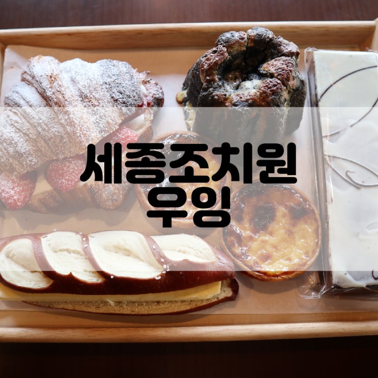  (세종카페추천) 캐릭터가 귀여운 베이커리카페 우잉 WOOING