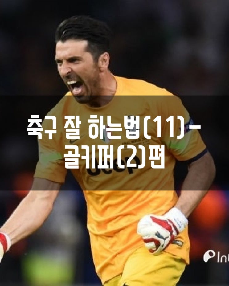  축구 잘 하는 법(11)-골키퍼(2)편