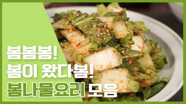  식탁에도 봄이왔나 봄!봄나물요리 모음 [만개의레시피]