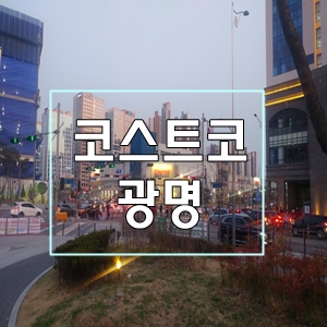  코스트코주말광명점
